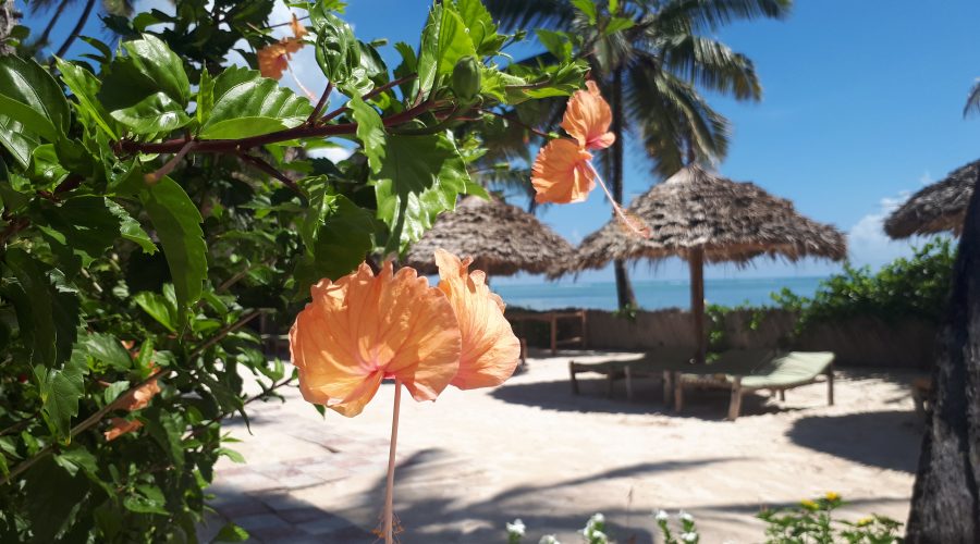 Miramont Retreat Zanzibar